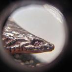 Ornement de cheveux - Royaume-Uni - Chauve-souris.