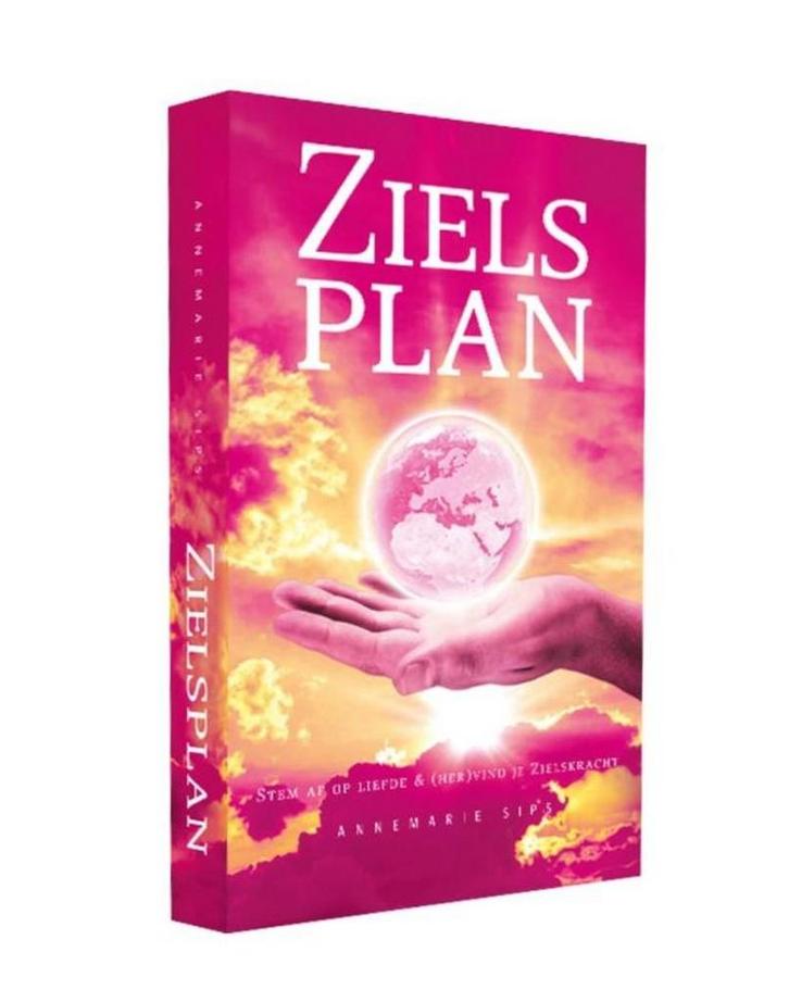 Zielsplan 9789081783651 Annemarie Sips, Boeken, Psychologie, Gelezen, Verzenden