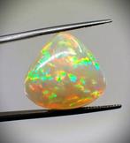 Multicolore Opale - 17.65 ct - Antwerp Laboratory for