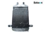 Radiateur Suzuki AN 400 Burgman 2001-2002 (AN400), Verzenden, Gebruikt