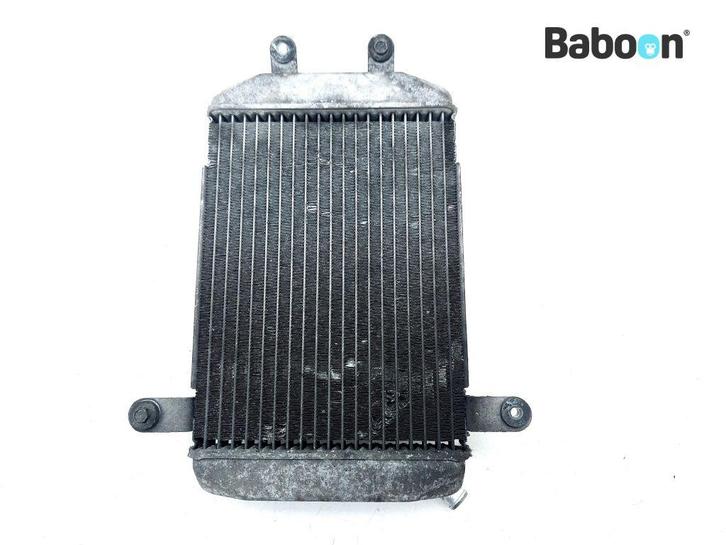 Radiateur Suzuki AN 400 Burgman 2001-2002 (AN400), Motoren, Onderdelen | Suzuki, Gebruikt, Verzenden