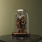 Vlinders in Stolp Taxidermie Opgezette Dieren By Max, Verzamelen, Ophalen of Verzenden, Nieuw, Insect, Opgezet dier