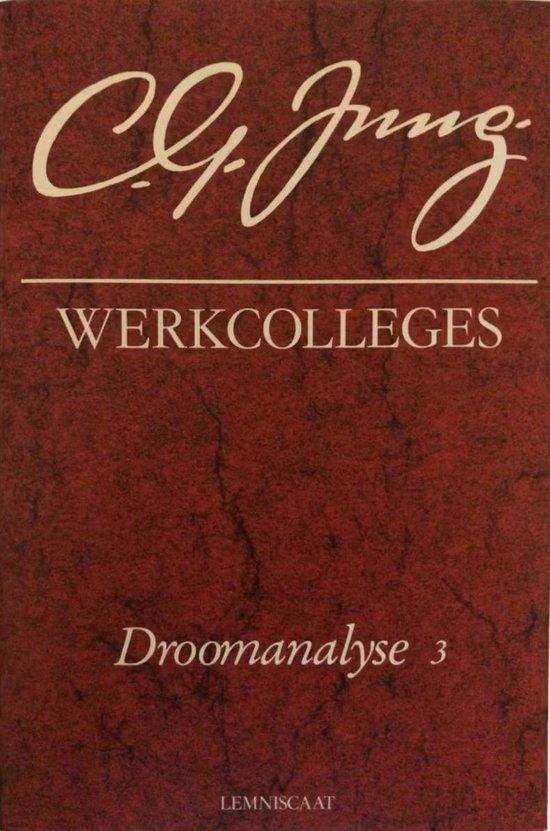 WERKCOLLEGES 5. DROOMANALYSE 3 9789060697788 Jung, Boeken, Psychologie, Gelezen, Verzenden