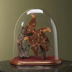 Vlinders in Stolp Taxidermie Opgezette Dieren By Max, Verzamelen, Ophalen of Verzenden, Nieuw, Insect, Opgezet dier