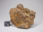 Météorite de Gebel Kamil Météorite de fer - 118.4 g