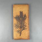 Mid-century modern Tegel (2) - Roger Capron - Mid-century