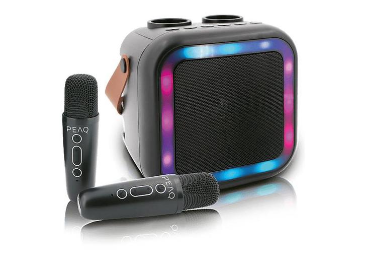 Peaq -  Pkm-100 Karaoke Machine  - Zwart, Audio, Tv en Foto, Luidsprekerboxen, Nieuw, Overige merken, 60 tot 120 watt, Verzenden