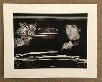 Albert Watson - Mick Jagger in auto con il leopardo, Los