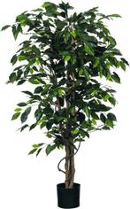 Tweedekans | Mica Decorations Ficus Kunstplant - H150 x Ø85, Tuin en Terras, Ophalen of Verzenden