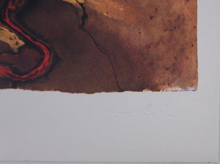 Salvador Dali (1904-1989) - France : Auvergne (Massif, Antiek en Kunst, Antiek | Overige Antiek