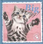 Big Hug! - cadeauboekje / Studio Pets by Myrna / 4, Verzenden, Zo goed als nieuw