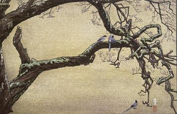 Jyuzu kake no Ume (Plum Tree & Blue Magpie) - Toshi