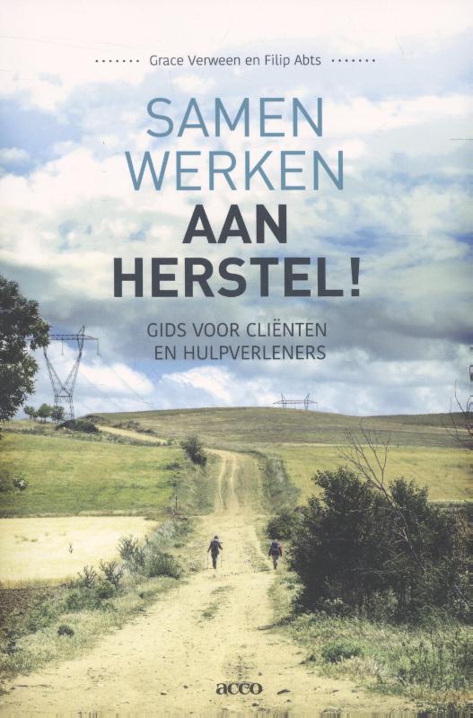 Samen werken aan herstel! 9789462921771 Filip Abts, Boeken, Psychologie, Zo goed als nieuw, Verzenden