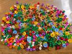 Lego Pièces - Mooi assortiment bloem plant groen new, Nieuw