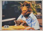 ALF - Classic TV - Paul Fusco (original English voice and