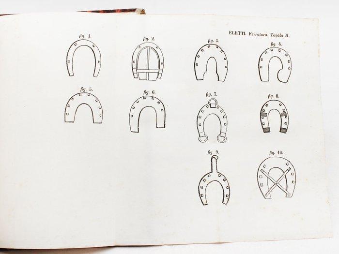 Eletti - Lezioni elementari di ferratura teorico-pratica -, Antiek en Kunst, Antiek | Boeken en Manuscripten