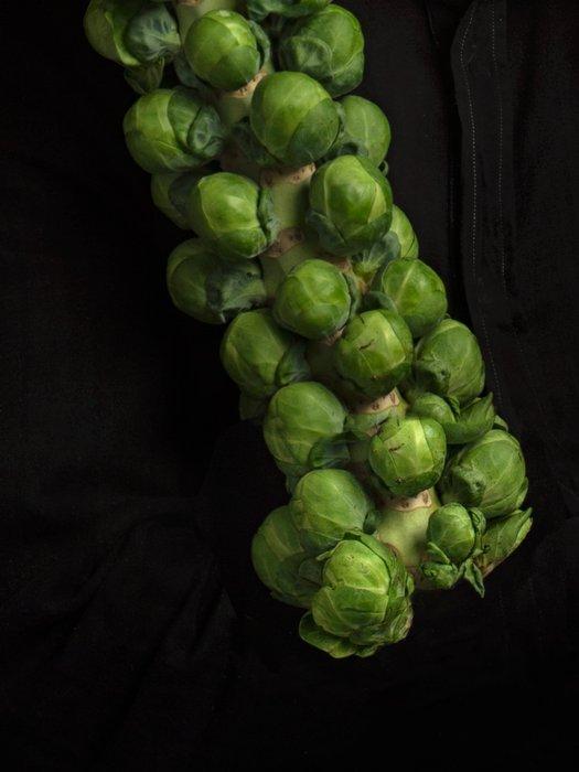 Ursula van de Bunte - Brussels Sprouts, Antiek en Kunst, Kunst | Designobjecten