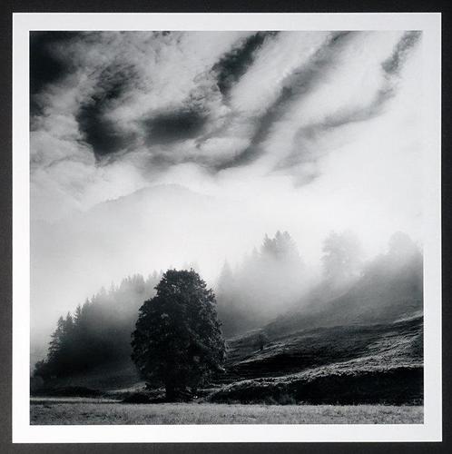 Frank Machalowski - Steiermark, Antiek en Kunst, Kunst | Schilderijen | Modern