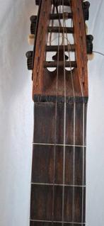 Unknown - Mandora / Gallichon - - Muziekinstrumenten -, Muziek en Instrumenten, Nieuw