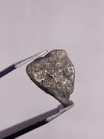 Platina Goud nugget - Hoogte: 12 mm - Breedte: 7 mm- 1.3 g, Verzamelen