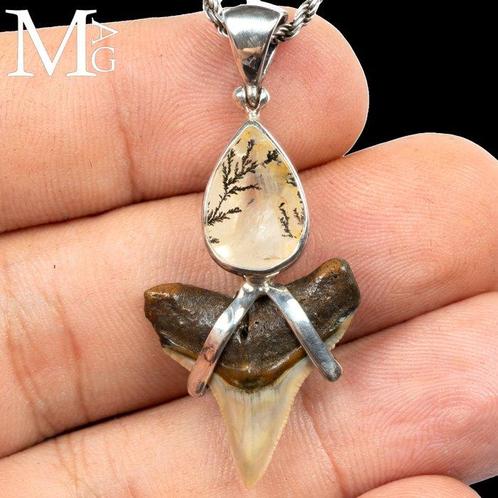 Bijoux jurassiques Support de corps entier pour taxidermie -, Verzamelen, Dierenverzamelingen