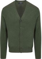 Olymp Vest Wol Donkergroen maat Maat 48/50 (M) Heren, OLYMP, Nieuw, Groen, Verzenden