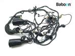 Kabelboom Triumph Tiger 900 1993-1998 (T400 885), Motoren, Gebruikt