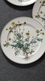 Villeroy & Boch - Bord (9) - Botanica - Vitro-Porzellan -