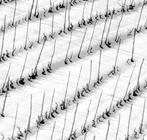 Franco Turcati - Langhe, Piemonte (321)