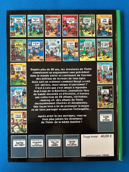 Tintin - Comment Hergé a créé Tintin L’affaire Tournesol - 1, Boeken, Stripverhalen