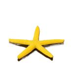 Zeester geel 6cm /  Aquarium decoratie As-278 (Hardscaping), Verzenden, Gevuld zeewateraquarium