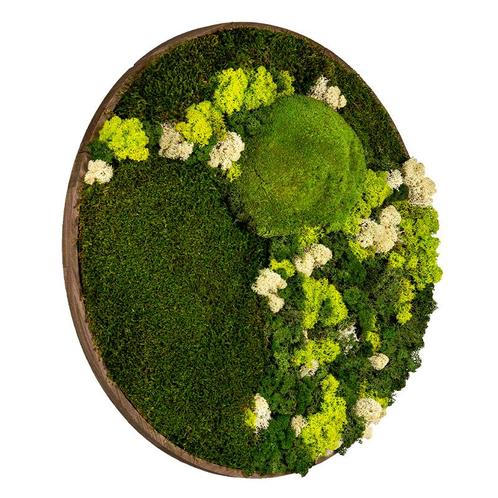 Mosschilderij Rond 40 cm Donker Eiken - Floro, Maison & Meubles, Accessoires pour la Maison | Cadres, Envoi