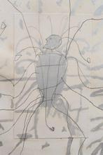 Mimmo Paladino (1948) - Grillo Parlante ( Pinocchio)