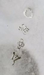 135 Years Old Heart Shaped Romantic - Boîte - Argent 800