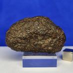 XL UREILITE - Primitieve achondriet - (Met nano-diamanten!), Verzamelen