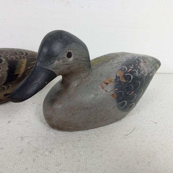 Lokeend - Lokeend (2) - Hout, Handbeschilderd hout, Antiek en Kunst, Curiosa en Brocante