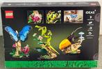 Lego Set - 21342 - Ideas (CUUSOO) - Insektensammlung, Nieuw