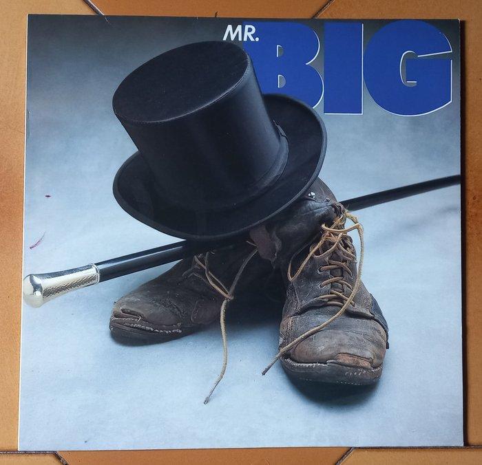 Mr. Big, Skid Row - 2 x albums - Diverse titels - LP albums, CD & DVD, Vinyles Singles