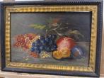 Europese school (XIX) - NO RESERVE - Bodegón de frutas