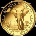 Somalië. 100 Shilling 2025 new issue, Elephant of the