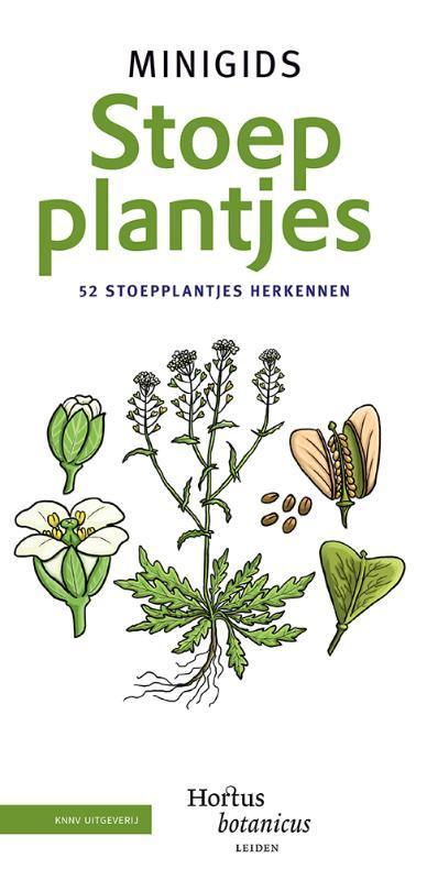 Minigids stoepplantjes / Minigids 9789050117517, Boeken, Hobby en Vrije tijd, Zo goed als nieuw, Verzenden