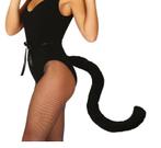 Zwarte Kattenstaart 50cm, Verzenden