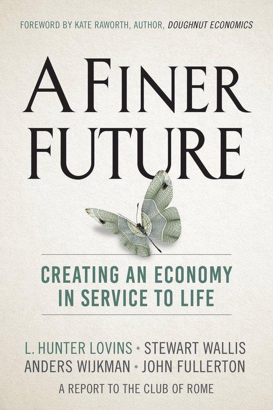 A Finer Future 9780865718982 L. Hunter Lovins, Boeken, Taal | Engels, Gelezen, Verzenden