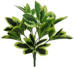 Euphorbia Spray Variegated Boeketvuller, Huis en Inrichting, Nieuw