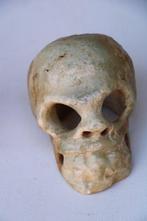 doodshoofd van speksteen Schedel - menselijke schedel