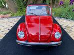 Altaya 1:8 - Modelauto - Coccinelle Volkswagen Käfer, Nieuw