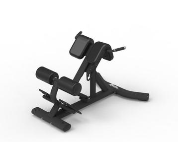 Lower Back Bench, Verzenden, Nieuw, Rug