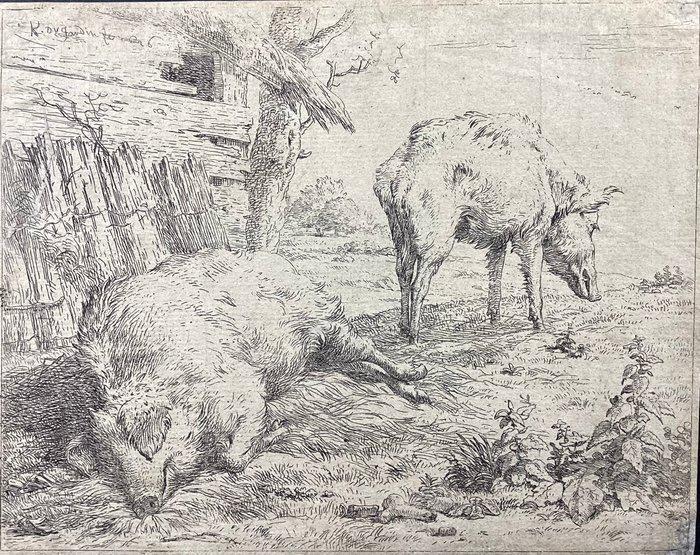 Karel Dujardin (c.1626-1678) - Due tavole originali - La, Antiek en Kunst, Antiek | Overige Antiek