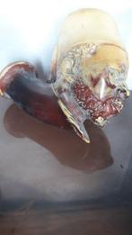 hussard - Zonder minimumprijs - Pijp - Meerschaum, Nieuw