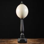Ostrich Egg - met de hand gemaakte houten voet Ei - Strutio, Antiek en Kunst